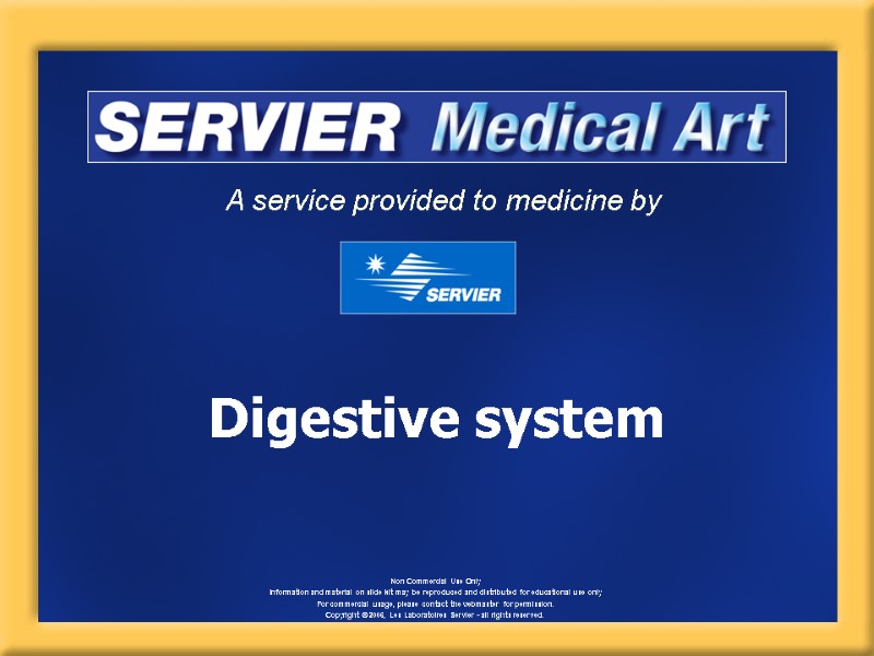 Digestive system